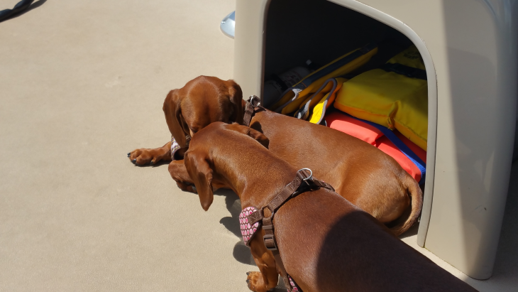 gallery/17claylake10