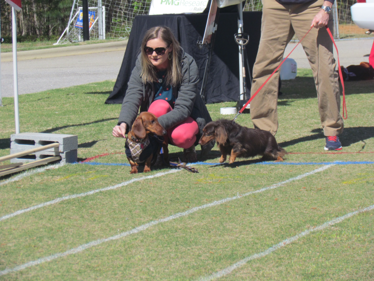 gallery/race5