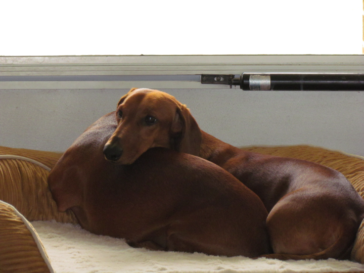 gallery/waiting7
