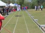 gallery/race4